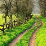 Case Study #4: Using the 4% rule and asset allocations.