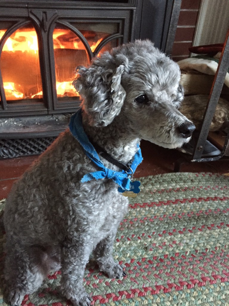 Jake in Maine
